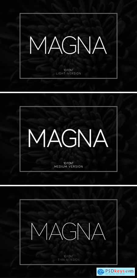 Magna (Thin,Light,Medium) Font