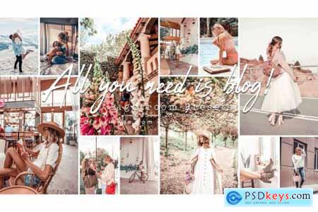 75 All you need is blog! - Presets 4498165