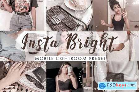 Insta Bright Mobile Lightroom Preset 4488136