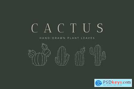 Cactus Hand-Drawn Plant