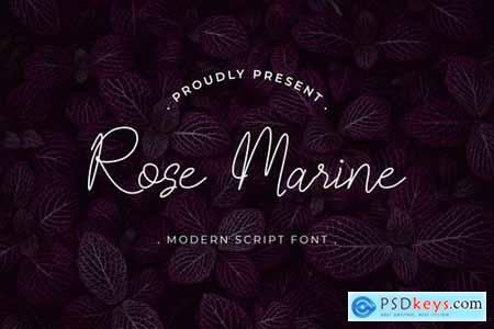 Rose Marine Handwritten Script