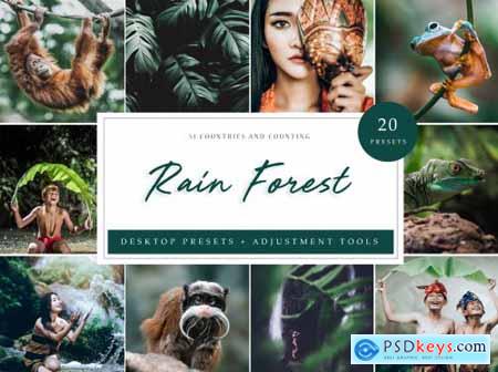 Rain Forest -- Desktop Presets 4594872