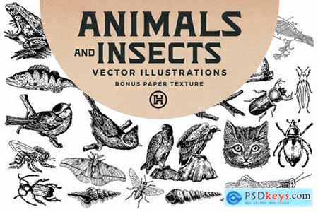 Animals and Insects Vectors