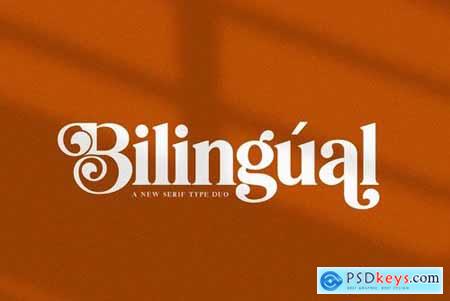 Bilingual Serif Font Duo 4585362