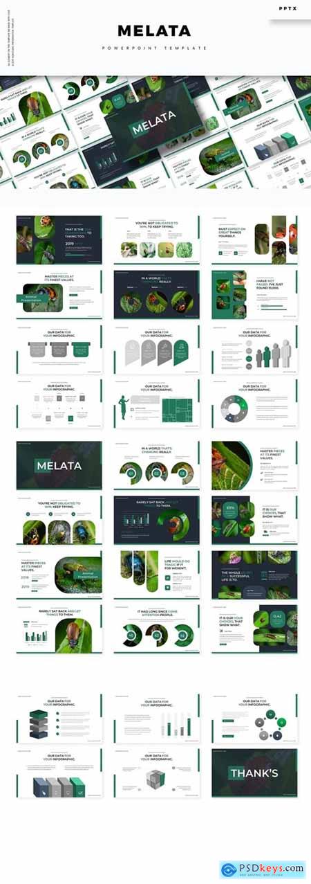 Melata Powerpoint, Keynote and Google Slides Templates