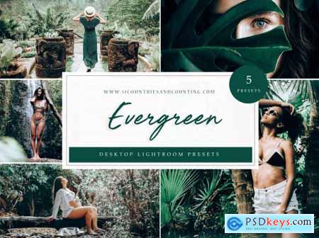 Evergreen Lightroom Presets- Desktop 4585297