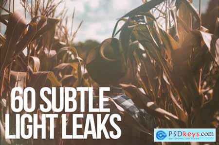 60 Subtle Light Leaks