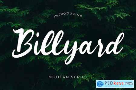 Billyard Modern Script Font