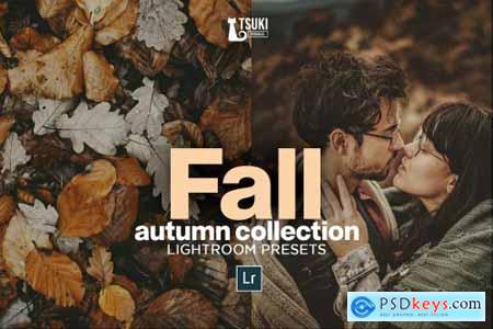 FALL Autumn Collection LR Presets 4628493