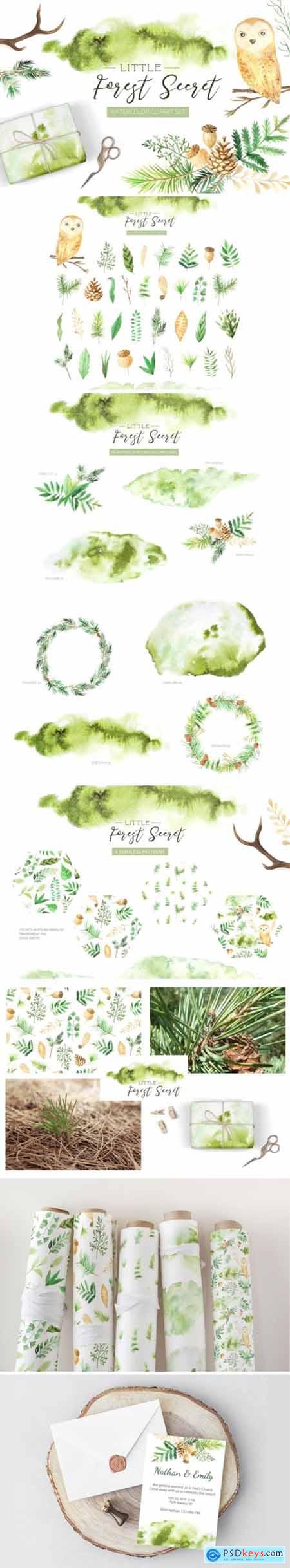 Watercolor Forest Graphic Set 3515023