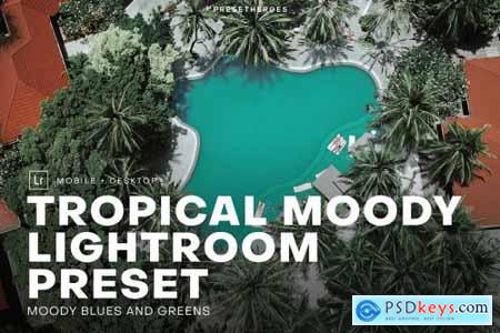 Tropical Moody Lightroom Preset 4552639