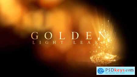 Golden Light Leaks 22792423