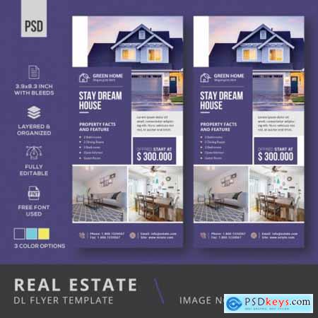 Real estate dl flyer