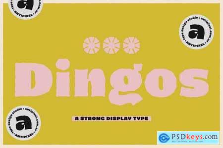 Dingos Font