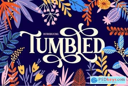 Tumbled Serif Font 4667601