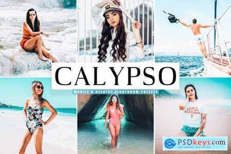 Calypso Mobile & Desktop Lightroom Presets