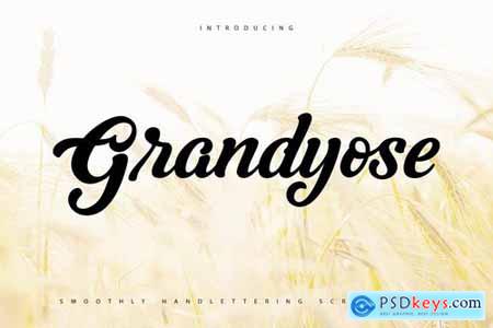 Grandyose 4602229