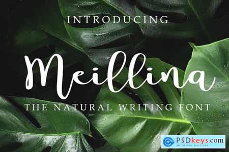 Meillina Natural Font