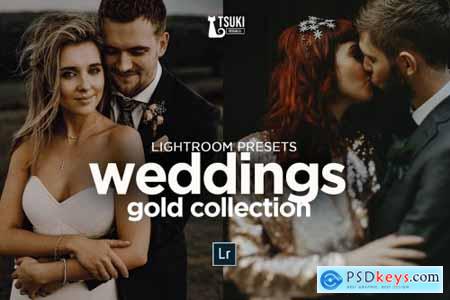WEDDING GOLD PACK LR PRESETS 4623262