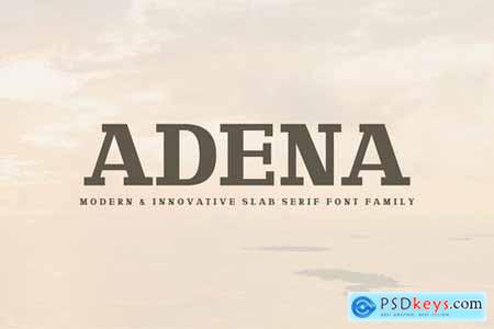 Adena Slab Serif Font Family 4715877