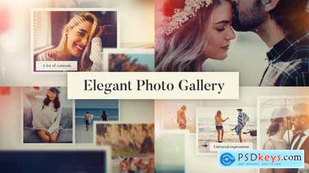 Elegant Photo Gallery 25910207