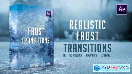 Frost Transitions 25049928