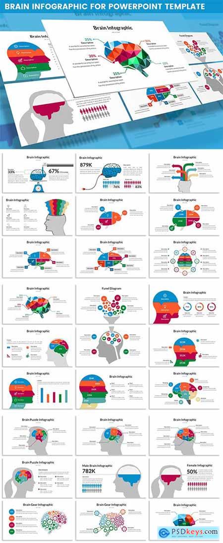 Brain Infographic for Powerpoint