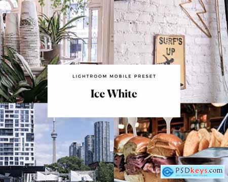 Ice White Mobile Lightroom Preset 4494287