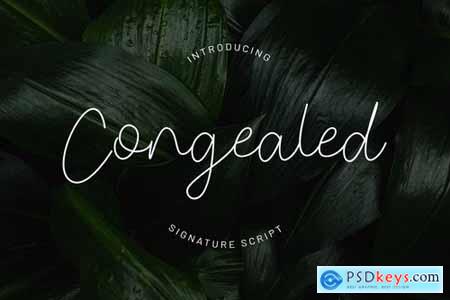 Congealed - Signature Script Font