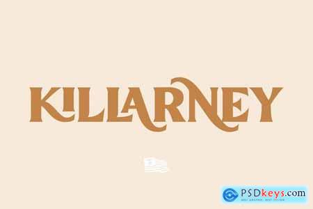 Killarney Vintage Display 4758028