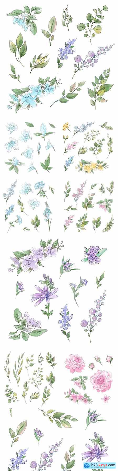 Flowers and twigs with leaves watercolor design illustrations