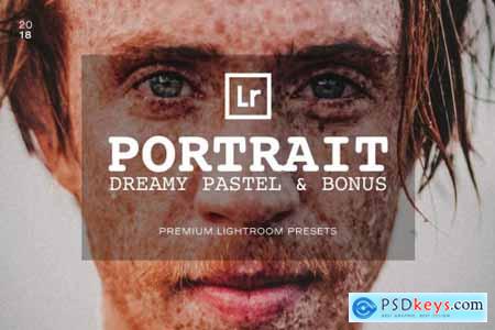 Portrait Lightroom Presets 2906188