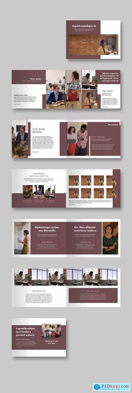 Business Brochure Layout 337466843
