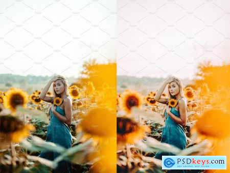 Sunflower Field Presets - Desktop 4792014
