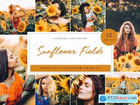 Sunflower Field Presets - Desktop 4792014