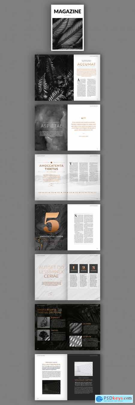 Magazine Layout with Dark Gold Accents 338466925