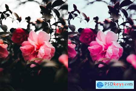Spring Photoshop Actions 4710524