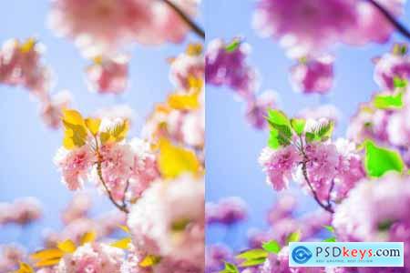 Spring Photoshop Actions 4710524