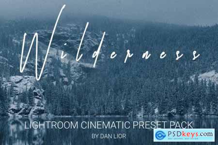 WILDRENESS -- Cinematic Preset Pack 4570533