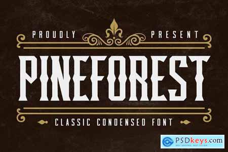 Pineforest - Classic Condensed Font 4802341