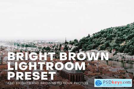 Bright and Brown Lightroom Preset 4552387