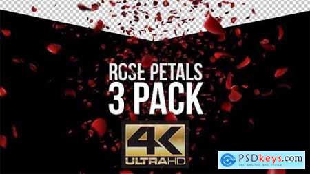 Rose Petals 3 Pack 12524303