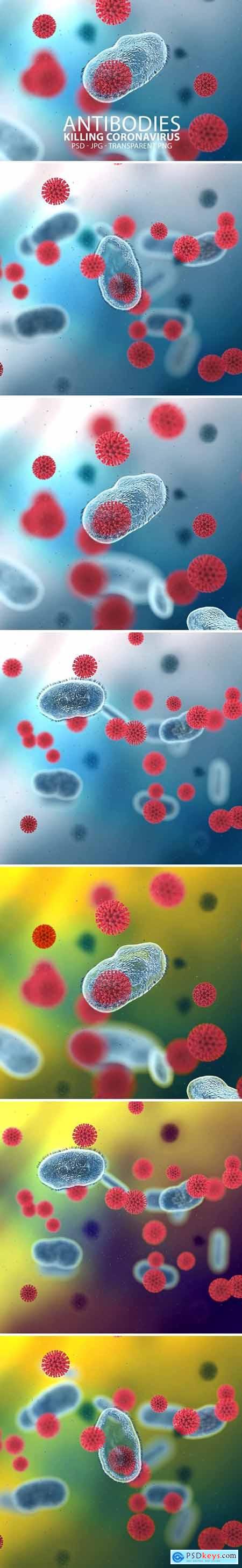Antibodies Killing Corona Virus
