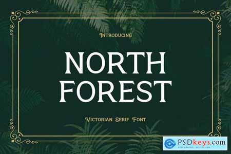 North Forest Vintage Serif Font