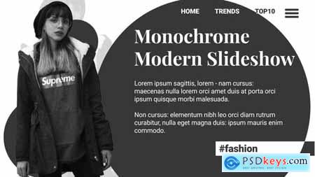 Monochrome Modern Slideshow 25995956