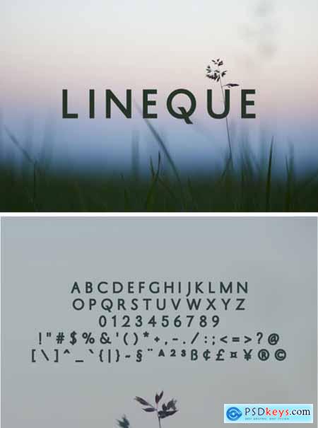 Lineque Font
