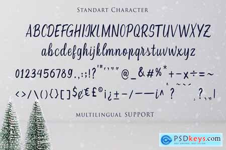 Christmas - Modern Calligraphy Font