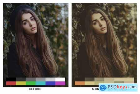 50 Painting Tones Lightroom Presets and LUTs