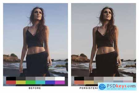 50 Painting Tones Lightroom Presets and LUTs