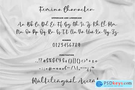 Femina - a Modern Calligraphy Font